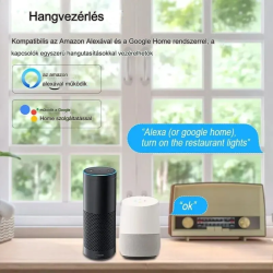 16A EWelink/Tuya Wifi Mini Smart 2-utas kapcsoló modul, Alexa Google Home támogatás
